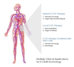 Multiple Clinical Applications for E-CEL® Technology